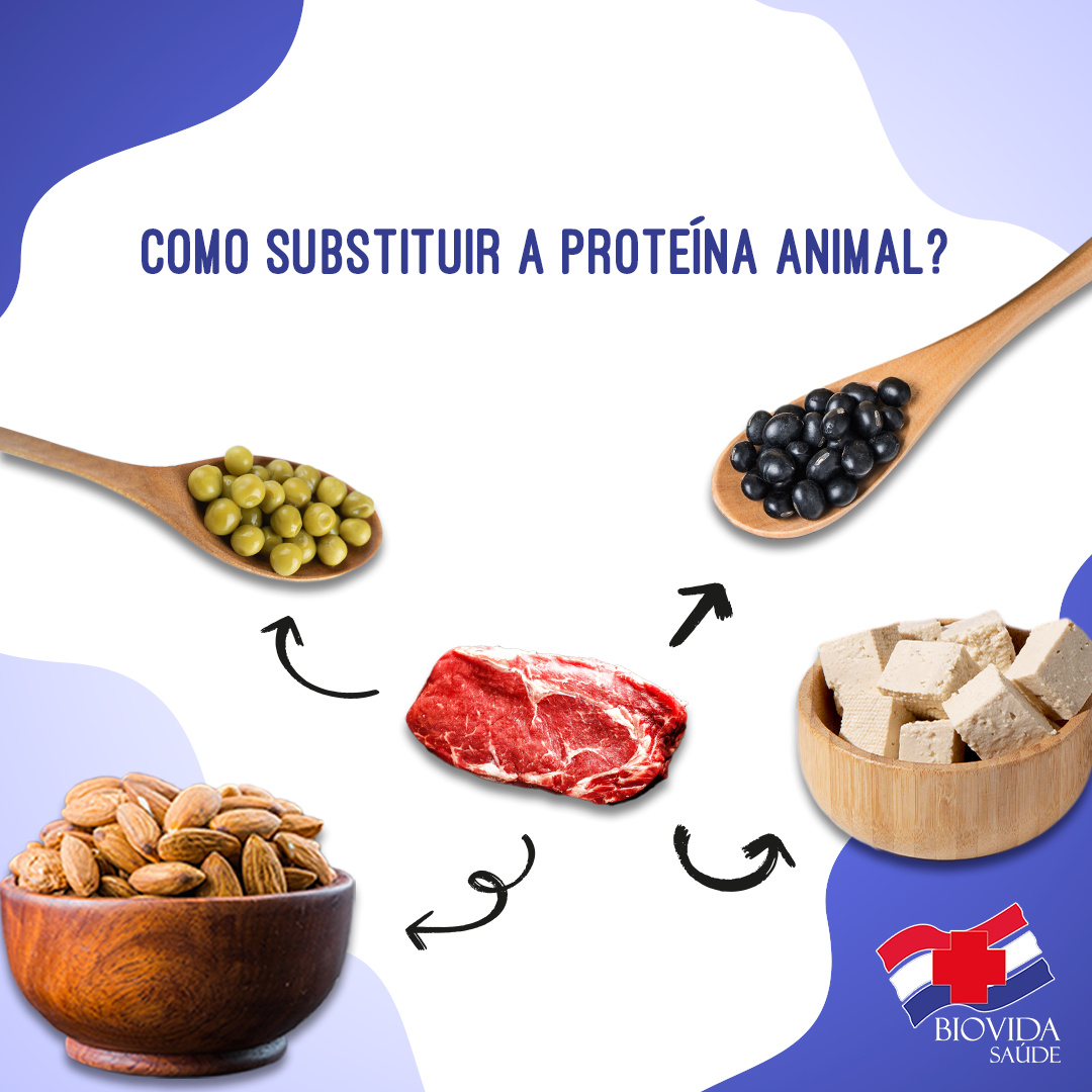 Como substituir a proteína animal?